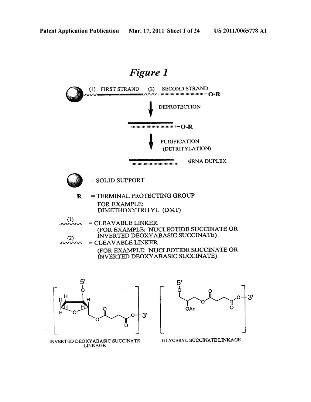 RNA Interference Mediated Inhibition of Muscarinic Colinergic Receptor Gene Expression Using Short Interfering Nucleic Acid (siNA) - diagram, schematic, and image 02