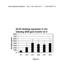 AAV VECTOR COMPOSITIONS AND METHODS FOR ENHANCED EXPRESSION OF IMMUNOGLOBULINS USING THE SAME diagram and image