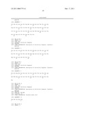 AAV VECTOR COMPOSITIONS AND METHODS FOR ENHANCED EXPRESSION OF IMMUNOGLOBULINS USING THE SAME diagram and image