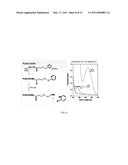 PH SENSITIVE BIODEGRADABLE POLYMERIC PARTICLES FOR DRUG DELIVERY diagram and image