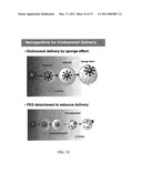 PH SENSITIVE BIODEGRADABLE POLYMERIC PARTICLES FOR DRUG DELIVERY diagram and image