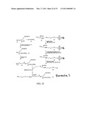 PH SENSITIVE BIODEGRADABLE POLYMERIC PARTICLES FOR DRUG DELIVERY diagram and image