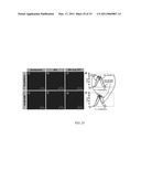 PH SENSITIVE BIODEGRADABLE POLYMERIC PARTICLES FOR DRUG DELIVERY diagram and image