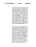 ELASTIC MOLDED FOAM BASED ON POLYOLEFIN/STYRENE POLYMER MIXTURES diagram and image