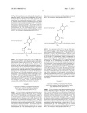 BIODEGRADABLE COPOLYMER AND THERMOSENSITIVE MATERIAL diagram and image