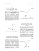 BIODEGRADABLE COPOLYMER AND THERMOSENSITIVE MATERIAL diagram and image