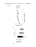 ANTIBODY AGAINST RGD IN AMINO ACID SEQUENCE OF EXTRACELLULAR MATRIX PROTEIN AND PRODUCTION METHOD AND USE OF THE SAME diagram and image