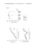 ANTIBODY AGAINST RGD IN AMINO ACID SEQUENCE OF EXTRACELLULAR MATRIX PROTEIN AND PRODUCTION METHOD AND USE OF THE SAME diagram and image