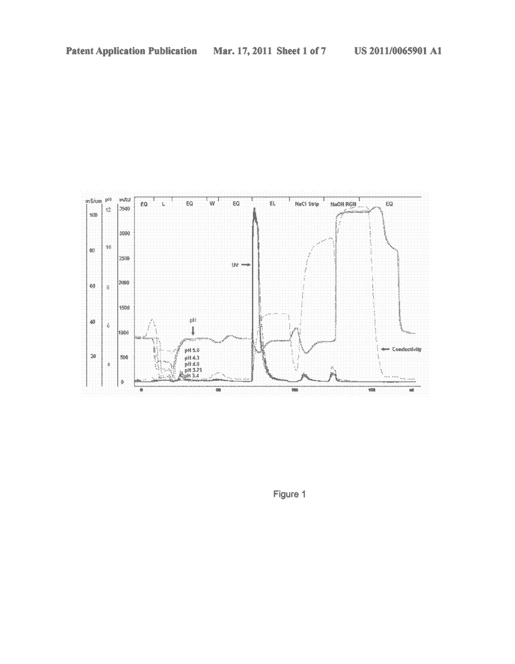 Methods For Purifying A Target Protein From One or More Impurities In A Sample - diagram, schematic, and image 02