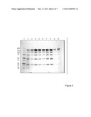 Methods For Purifying A Target Protein From One or More Impurities In A Sample diagram and image