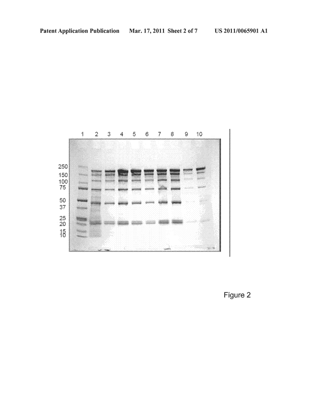 Methods For Purifying A Target Protein From One or More Impurities In A Sample - diagram, schematic, and image 03