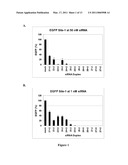 METHODS AND COMPOSITIONS FOR THE SPECIFIC INHIBITION OF GENE EXPRESSION BY DOUBLE-STRANDED RNA diagram and image