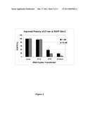 METHODS AND COMPOSITIONS FOR THE SPECIFIC INHIBITION OF GENE EXPRESSION BY DOUBLE-STRANDED RNA diagram and image