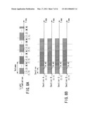 NON-INVASIVE SUBJECT-INFORMATION IMAGING METHOD AND APPARATUS diagram and image