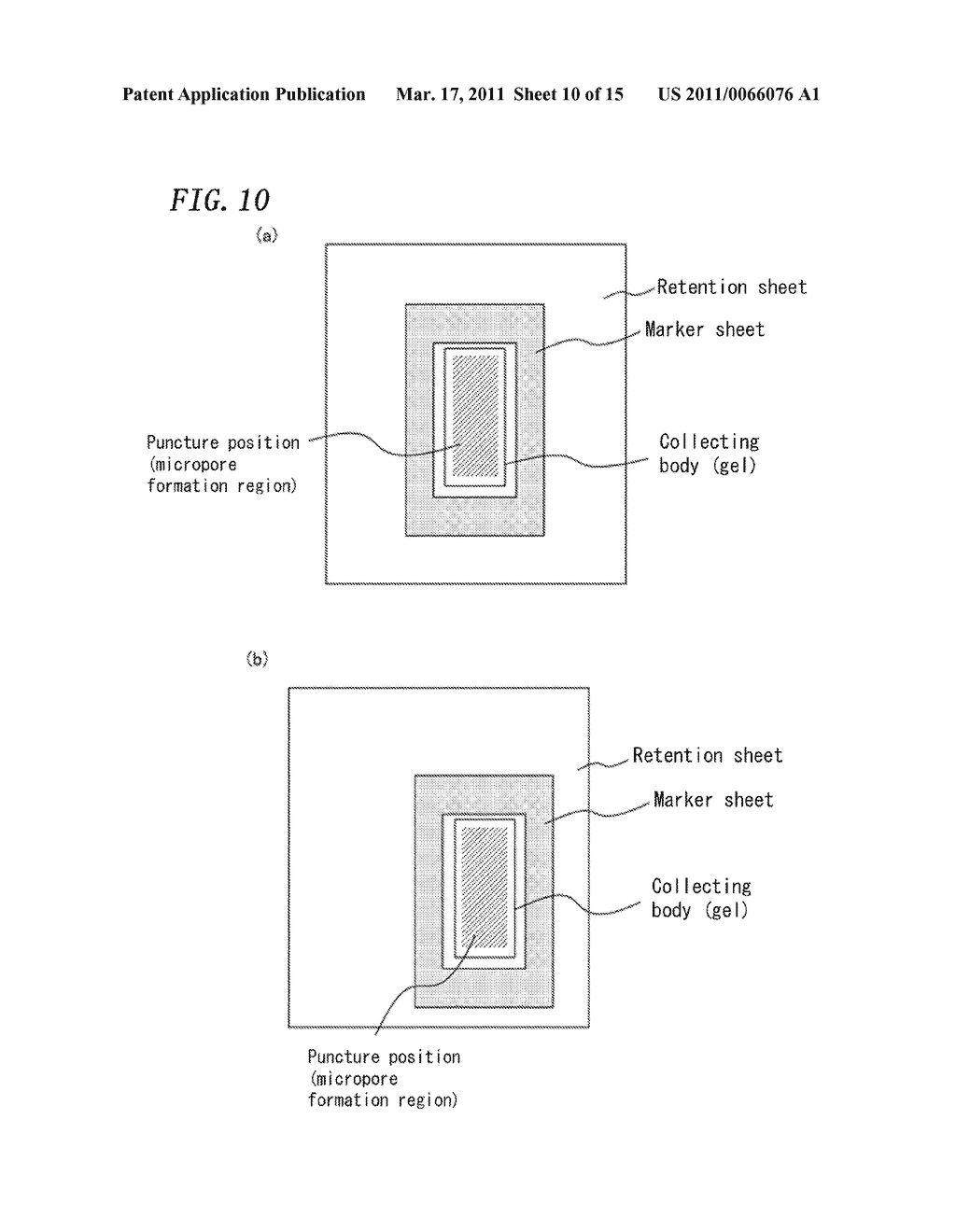 INTERSTITIAL FLUID COLLECTION METHOD AND INTERSTITIAL FLUID COLLECTION KIT AND INTERSTITIAL FLUID COLLECTION SHEET USED FOR THE METHOD - diagram, schematic, and image 11