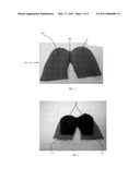 Device for Assisting Cardiac Pulmonary Resuscitation diagram and image