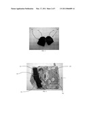 Device for Assisting Cardiac Pulmonary Resuscitation diagram and image