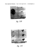 ANTI-ANGIOGENIC COMPOSITIONS AND METHODS OF USE diagram and image