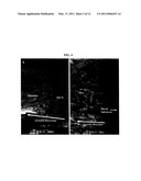 CERAMIC COATED ORTHOPAEDIC IMPLANTS AND METHOD OF MAKING SUCH IMPLANTS diagram and image