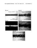 CERAMIC COATED ORTHOPAEDIC IMPLANTS AND METHOD OF MAKING SUCH IMPLANTS diagram and image