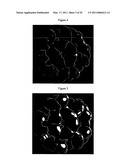 System and Method of Computing and Rendering the Nature of Molecules,Molecular Ions, Compounds and Materials diagram and image