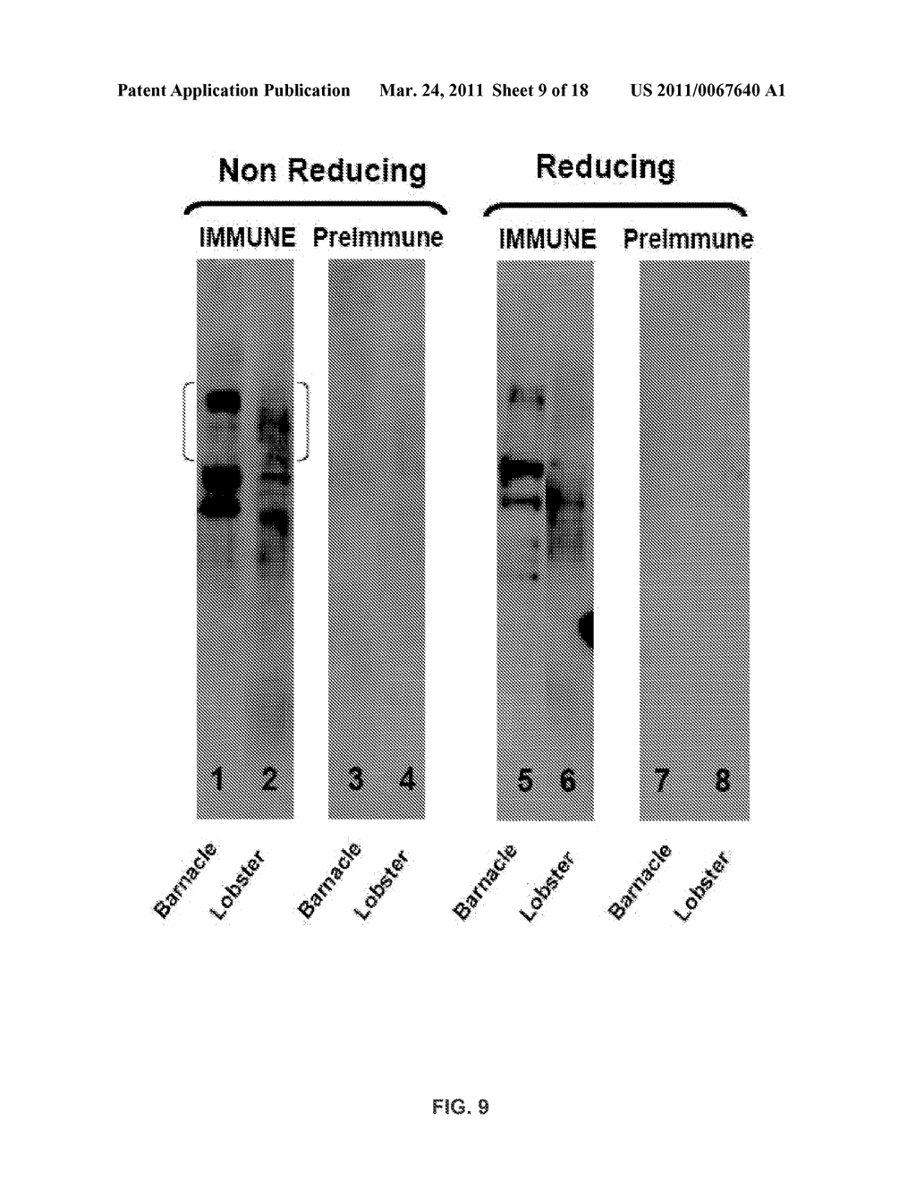 METHODS OF RAISING CRUSTACEANS IN LOW SALINITY WATER - diagram, schematic, and image 10