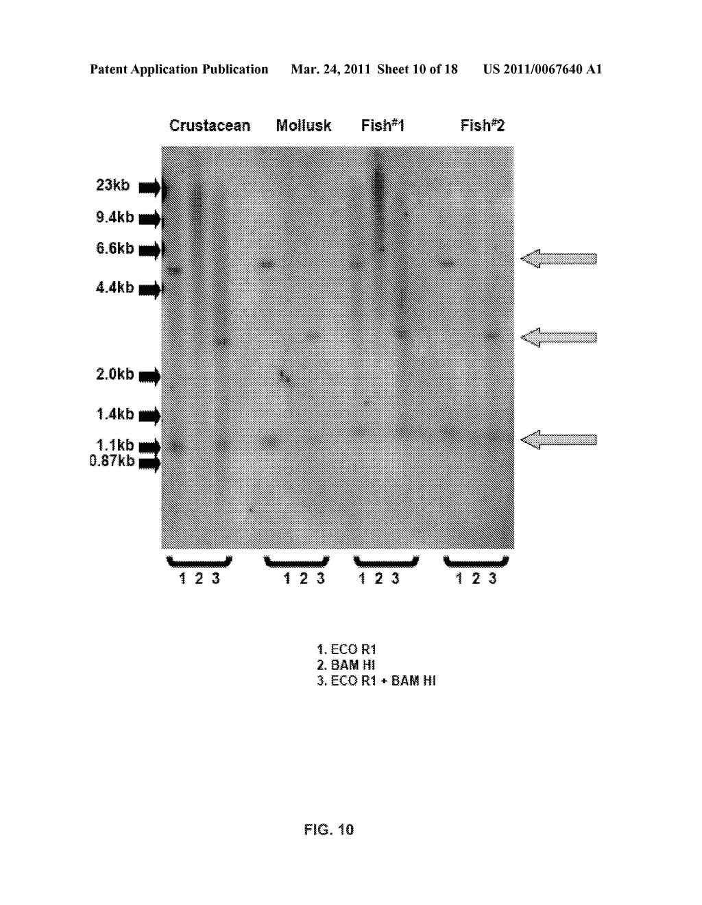 METHODS OF RAISING CRUSTACEANS IN LOW SALINITY WATER - diagram, schematic, and image 11