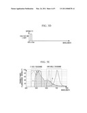 FLUORESCENCE OBSERVATION APPARATUS diagram and image