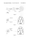 Semiconductor nanoparticle-based materials diagram and image