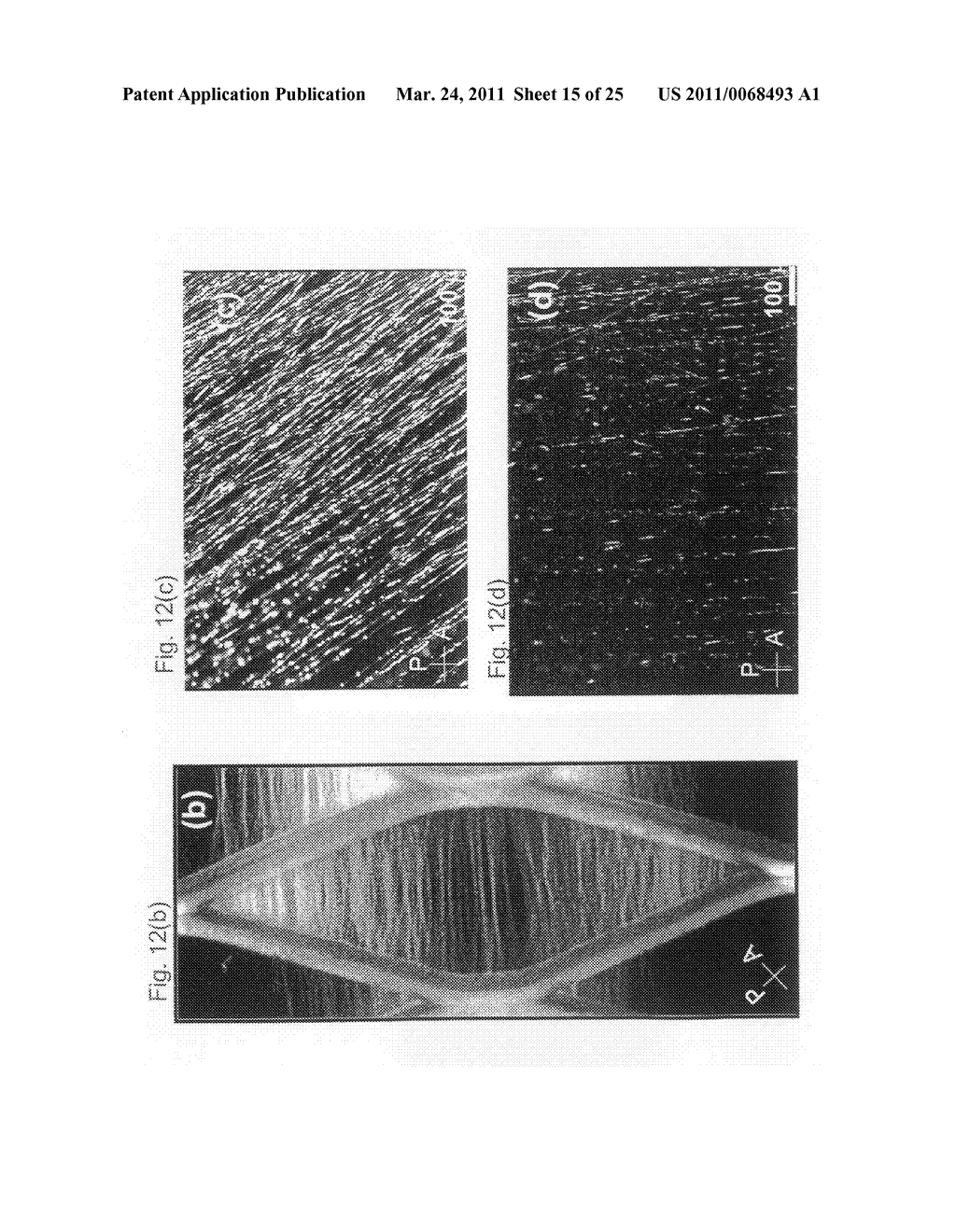 Stimuli responsive liquid crystal-polymer composite fibers - diagram, schematic, and image 16