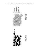 INK JET PRINTING APPARATUS AND PRINTING METHOD diagram and image