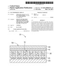 ELECTROPHORETIC DISPLAY diagram and image