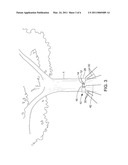 ORNAMENTAL DISPLAY ASSEMBLY diagram and image