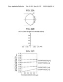 OBJECTIVE LENS, AN OPTICAL PICKUP, AND OPTICAL INFORMATION RECORDING/REPRODUCING APPARATUS diagram and image