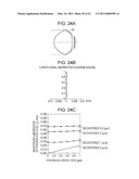 OBJECTIVE LENS, AN OPTICAL PICKUP, AND OPTICAL INFORMATION RECORDING/REPRODUCING APPARATUS diagram and image