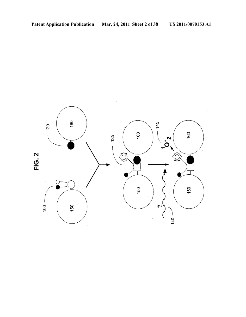 Artificial cells - diagram, schematic, and image 03