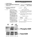 MULTIVALENT CONSTRUCTS FOR THERAPEUTIC AND DIAGNOSTIC APPLICATIONS diagram and image