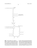 MULTIVALENT CONSTRUCTS FOR THERAPEUTIC AND DIAGNOSTIC APPLICATIONS diagram and image