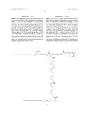 MULTIVALENT CONSTRUCTS FOR THERAPEUTIC AND DIAGNOSTIC APPLICATIONS diagram and image