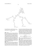 MULTIVALENT CONSTRUCTS FOR THERAPEUTIC AND DIAGNOSTIC APPLICATIONS diagram and image