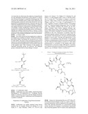 MULTIVALENT CONSTRUCTS FOR THERAPEUTIC AND DIAGNOSTIC APPLICATIONS diagram and image