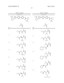 HEPATITIS C VIRUS INHIBITORS diagram and image