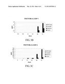 ABROGATING PROINFLAMMATORY CYTOKINE PRODUCTION DURING ONCOLYTIC REOVIRUS THERAPY diagram and image