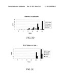 ABROGATING PROINFLAMMATORY CYTOKINE PRODUCTION DURING ONCOLYTIC REOVIRUS THERAPY diagram and image