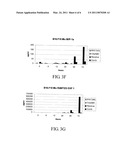 ABROGATING PROINFLAMMATORY CYTOKINE PRODUCTION DURING ONCOLYTIC REOVIRUS THERAPY diagram and image