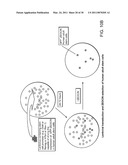 MULTIPOTENT STEM CELLS AND USES THEREOF diagram and image