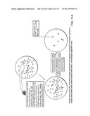 MULTIPOTENT STEM CELLS AND USES THEREOF diagram and image