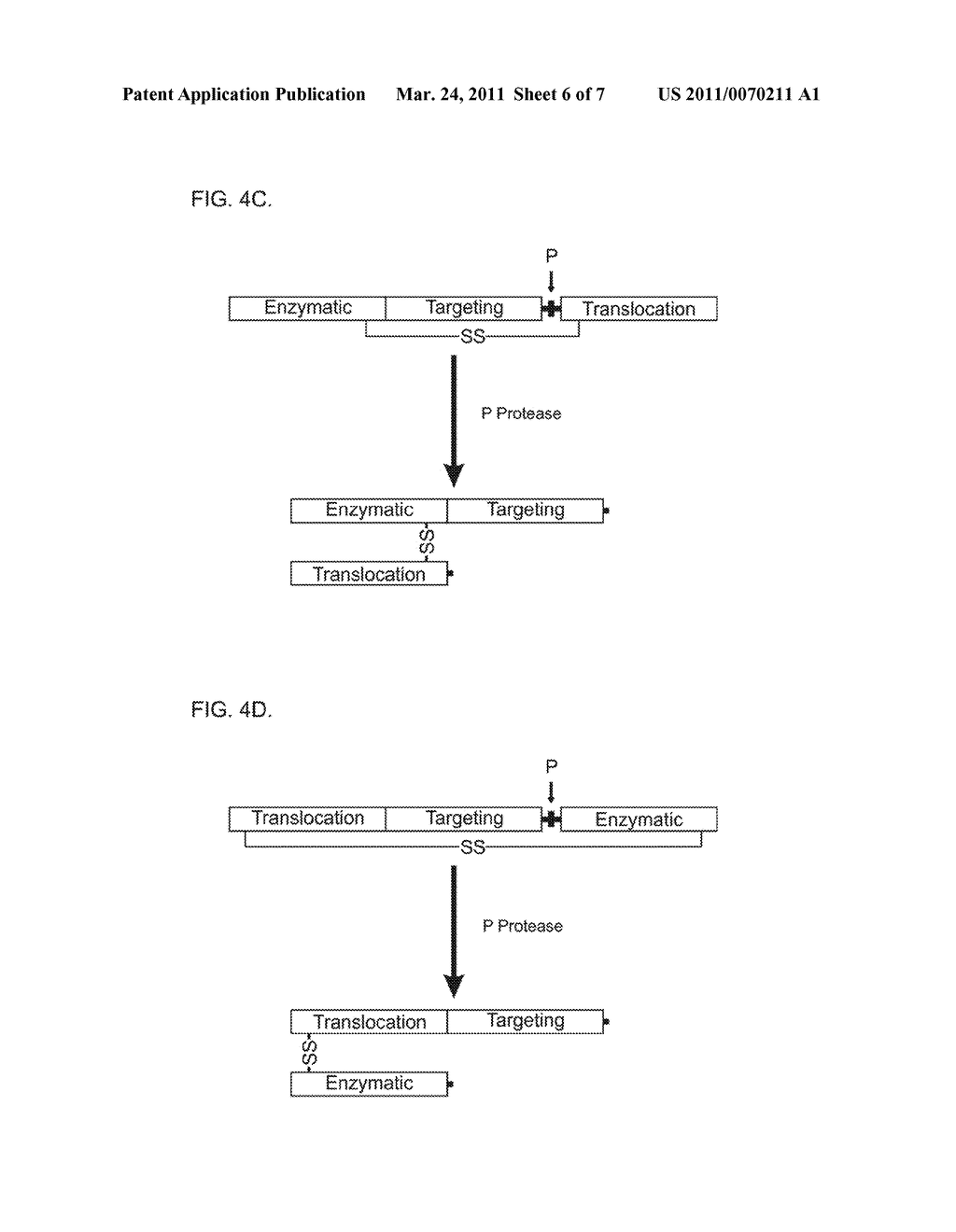 Methods of Treating Cancer Using Galanin Retargeted Endopepidases - diagram, schematic, and image 07