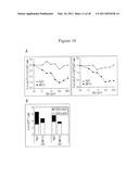 CYTOTOXIC ANTI-LAG-3 MONOCLONAL ANTIBODY AND ITS USE IN THE TREATMENT OR PREVENTION OF ORGAN TRANSPLANT REJECTION AND AUTOIMMUNE DISEASE diagram and image