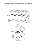 Polyvalent Chimeric OSPC Vaccinogen and Diagnostic Antigen diagram and image